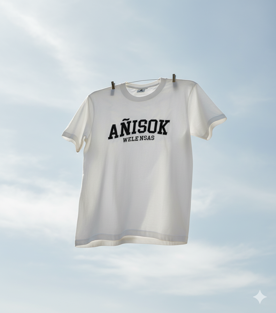 Camiseta Añisok bordada en negro - Unisex